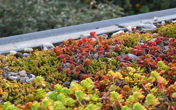 the cost of Mickley Square green roof installation