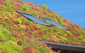 Mickley Square living roof systems
